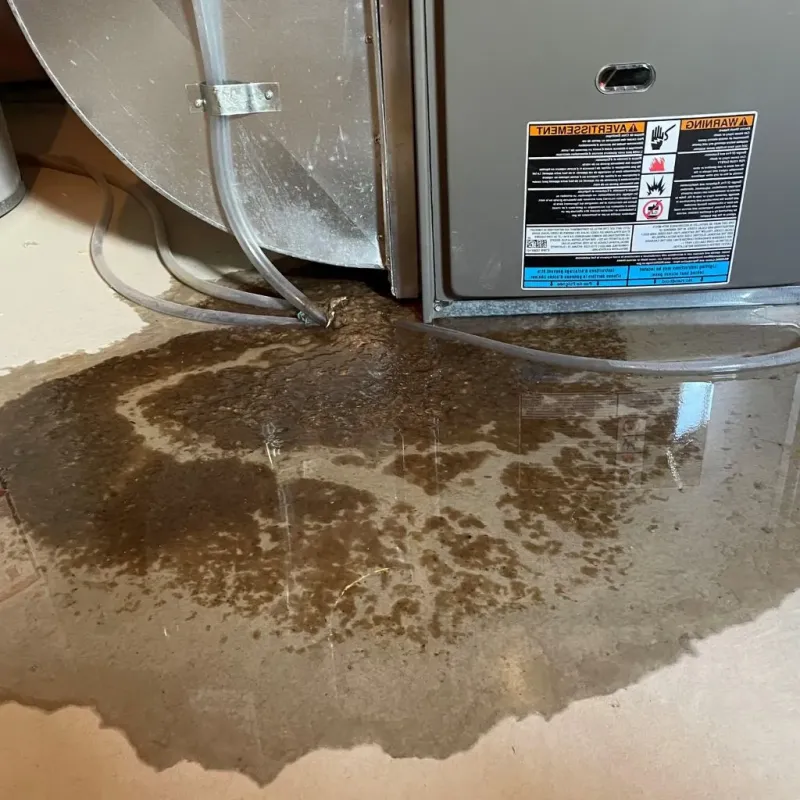 Pipe Burst and Leak Restoration in Three Way, TN