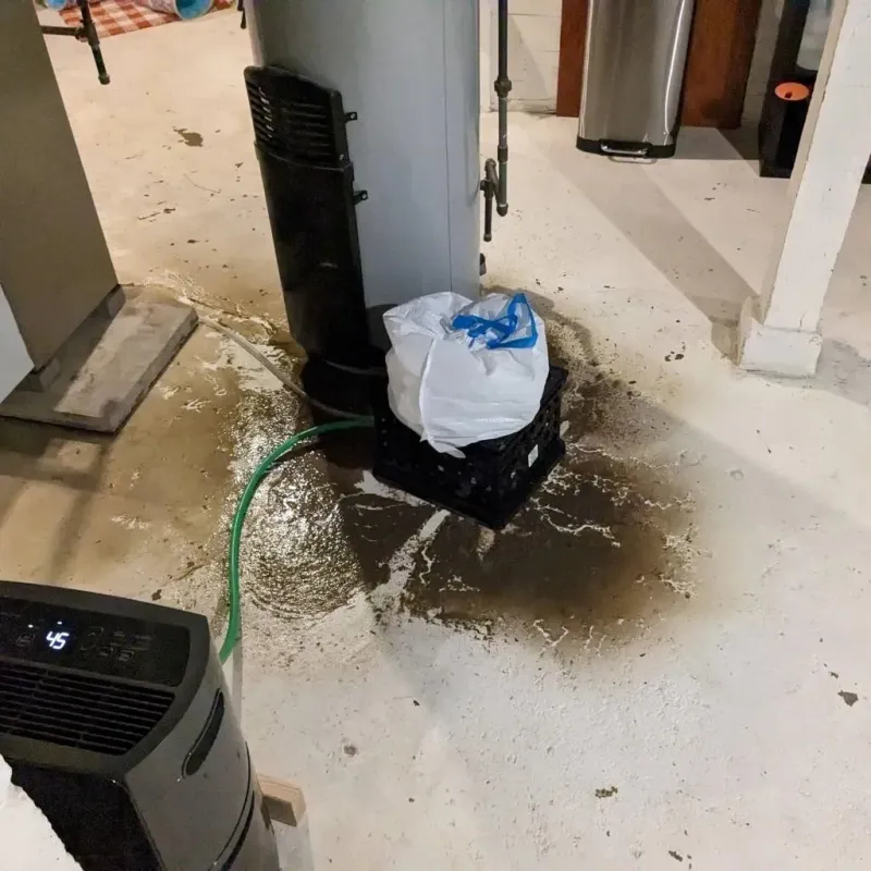 Sewage Backup Cleanup Service in Three Way, TN